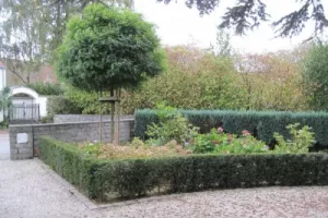 Pelouse & Plantation