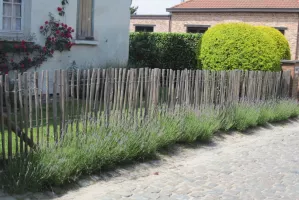 Travaux divers